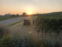 Carica l'immagine nel visualizzatore di Gallery, CROATINA “ Dino Torti “ in Confezione di Legno