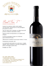 Load the image into the Gallery viewer, Pinot Noir 7*stars “Dino Torti“ Armored in Barrique