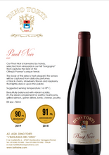 Load the image into the Gallery viewer, PINOT NOIR James Suckling 91 points