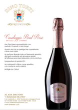 Load the image into the Gallery viewer, Casaleggio Rosé Sparkling Wine
