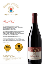 Load the image into the Gallery viewer, PINOT NOIR James Suckling 91 points
